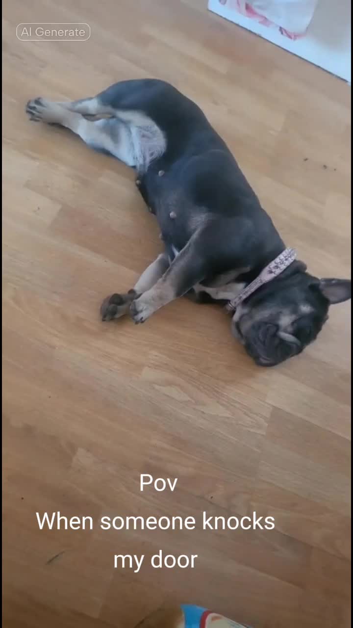 @Fur baby&rsquo;s