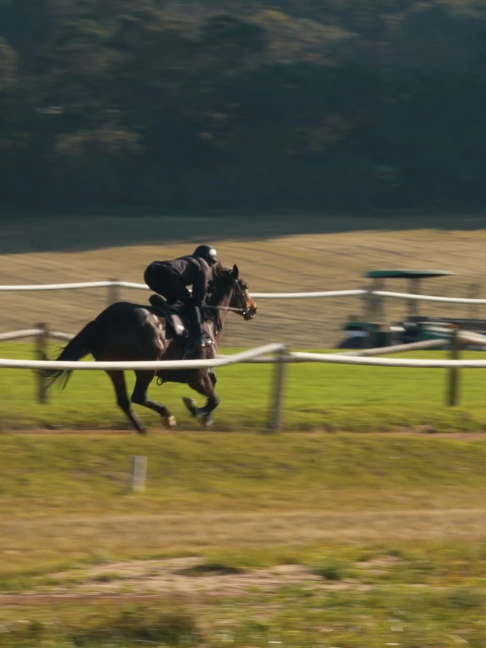 @Gallop TV