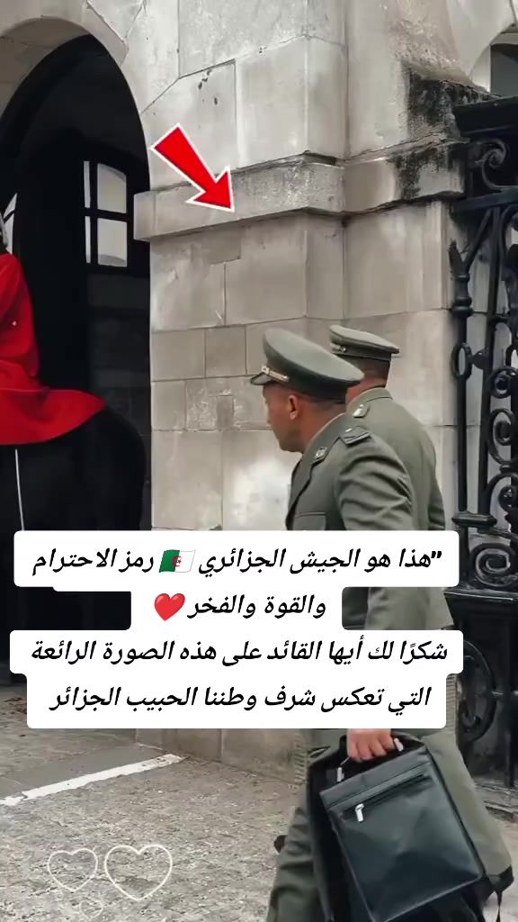 @🇩🇿FOX🦊 DZ🇩🇿
