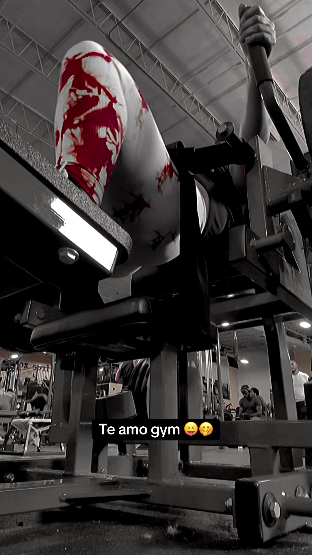 @Fresita15
