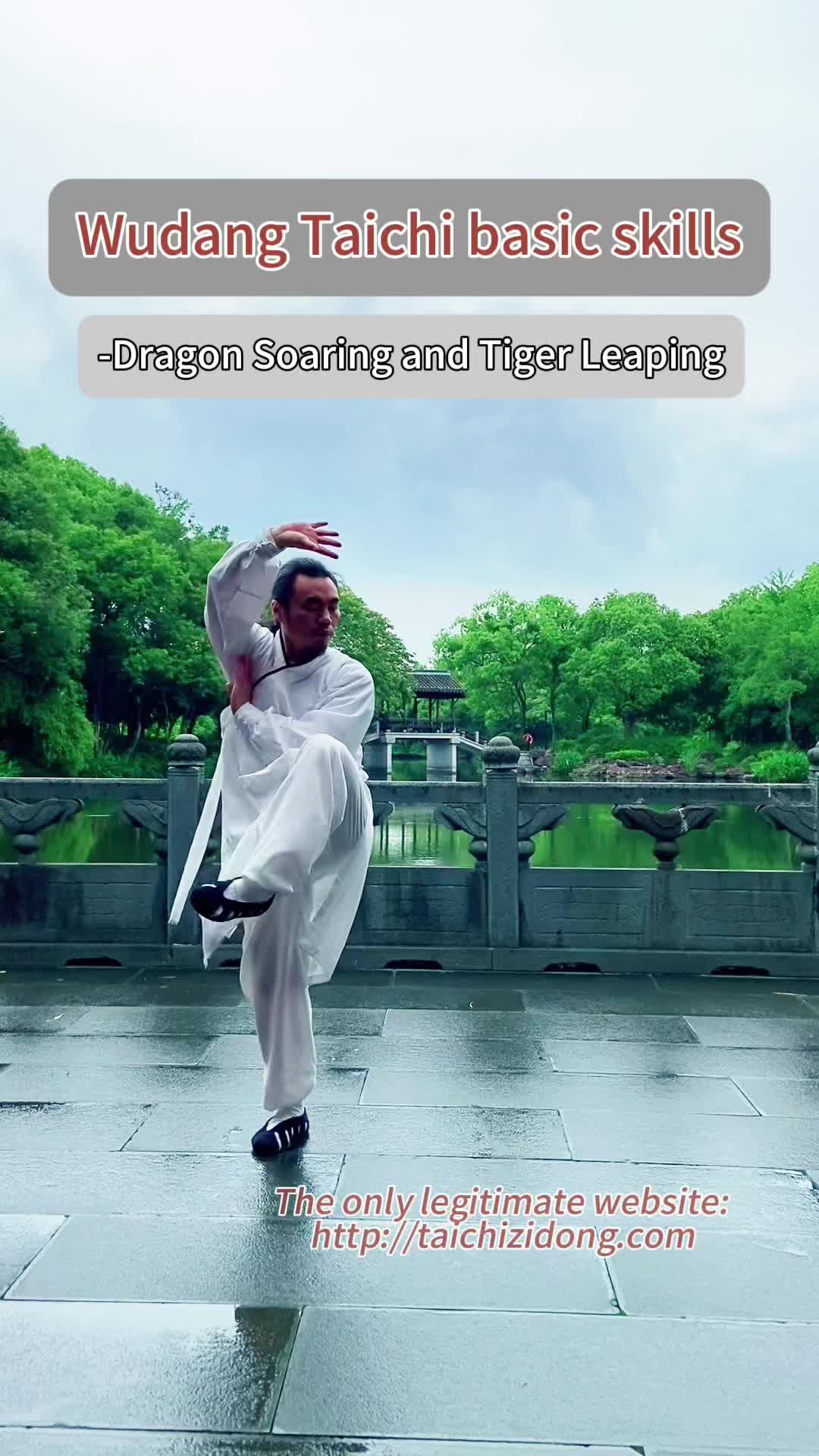 @Taichi.Zidong