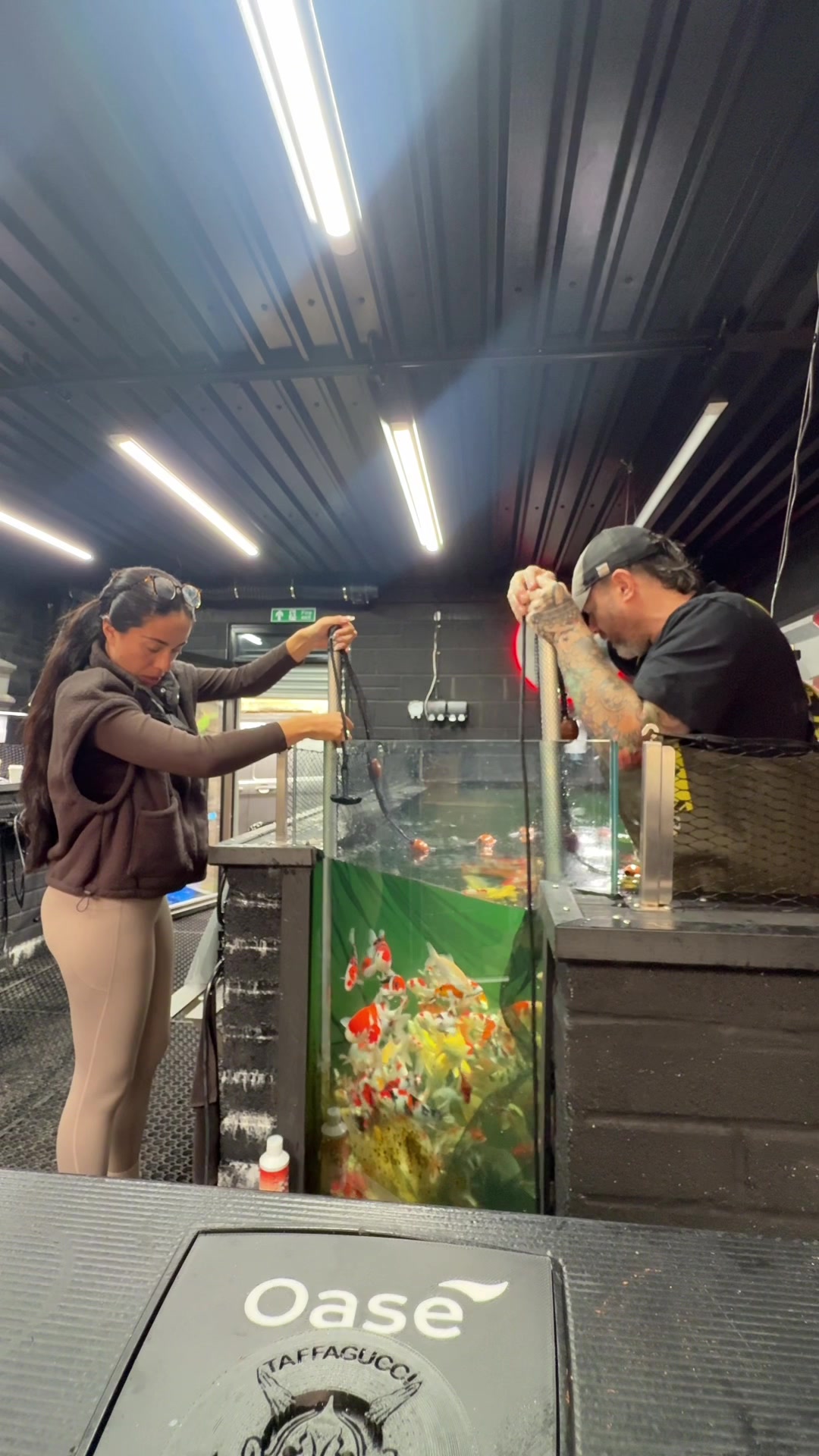 @yazhadfield