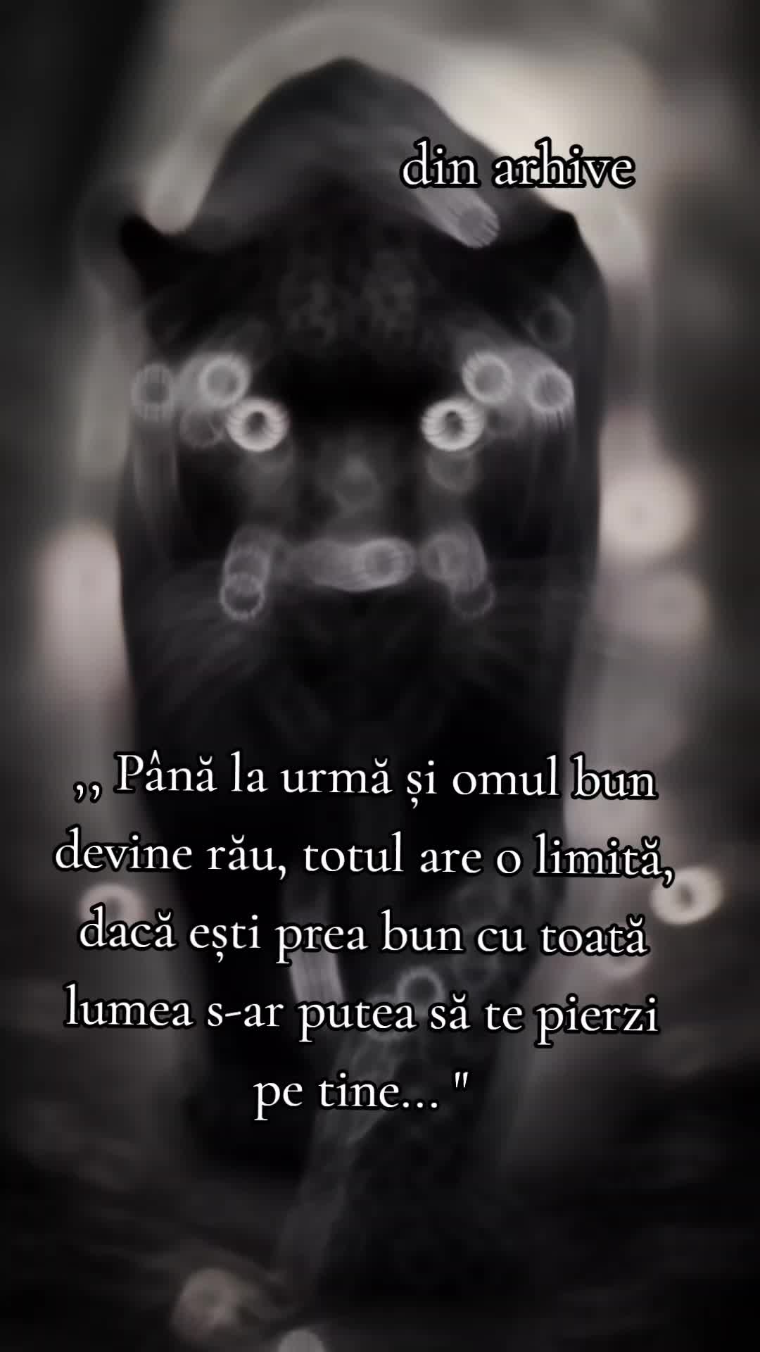 @andreeaoros60
