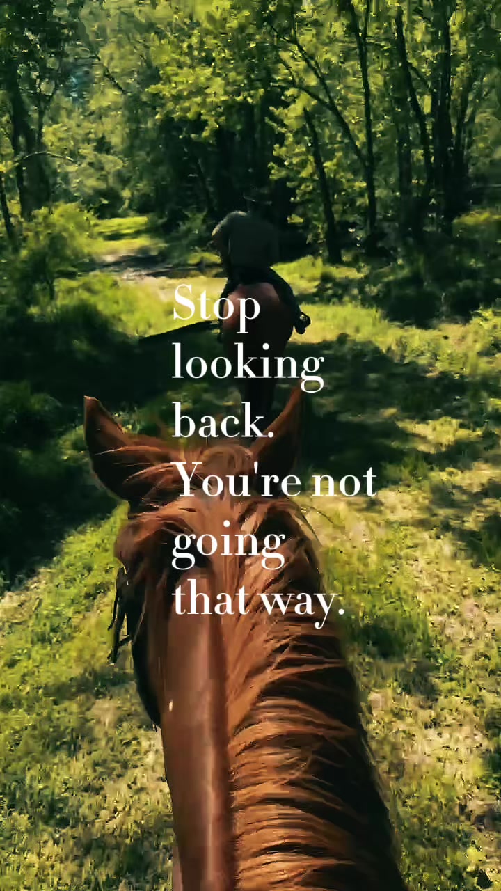 @Horselife