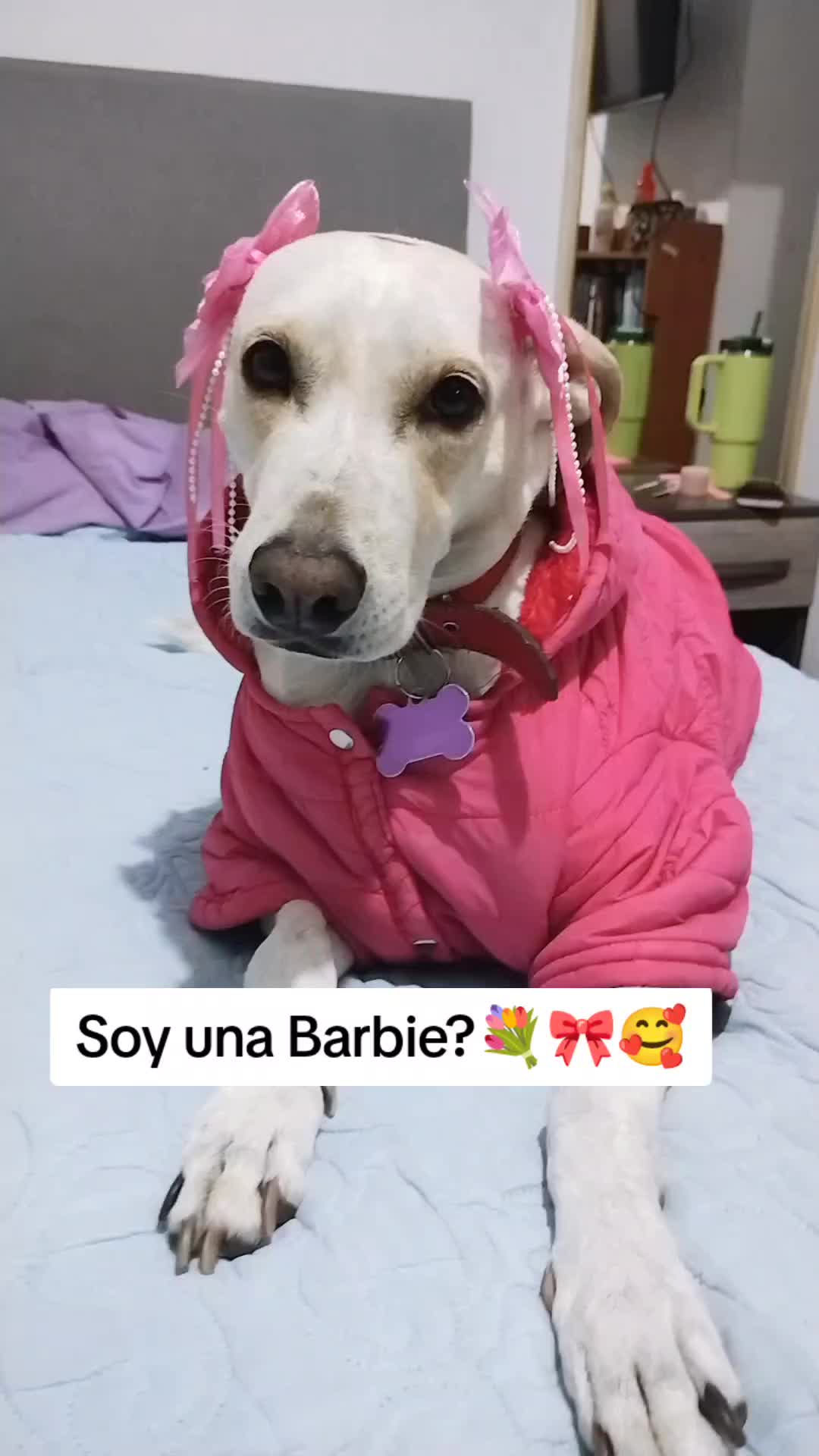 @winnie ❤🦮
