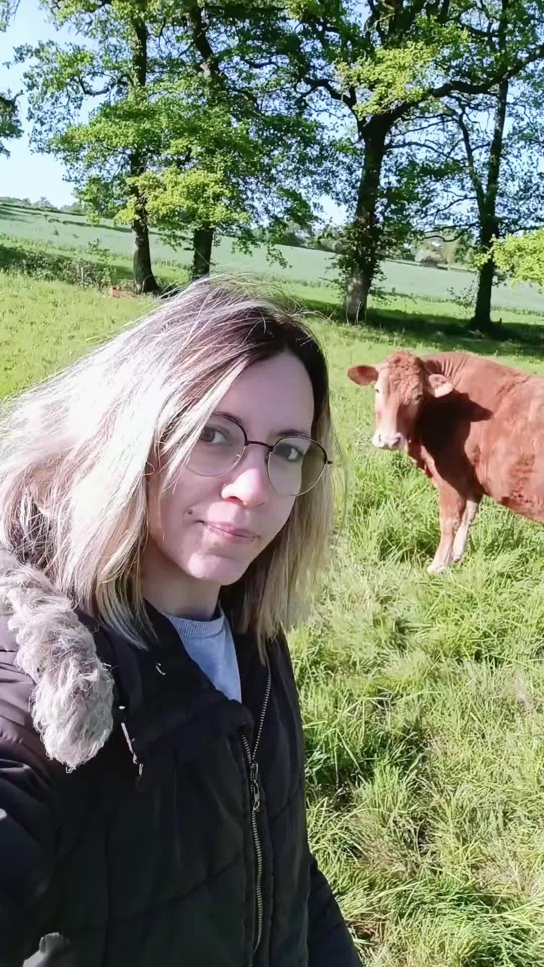 @Ludivine 🐶🐮