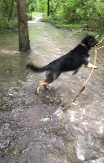 @MERCURY_GSD_24_7