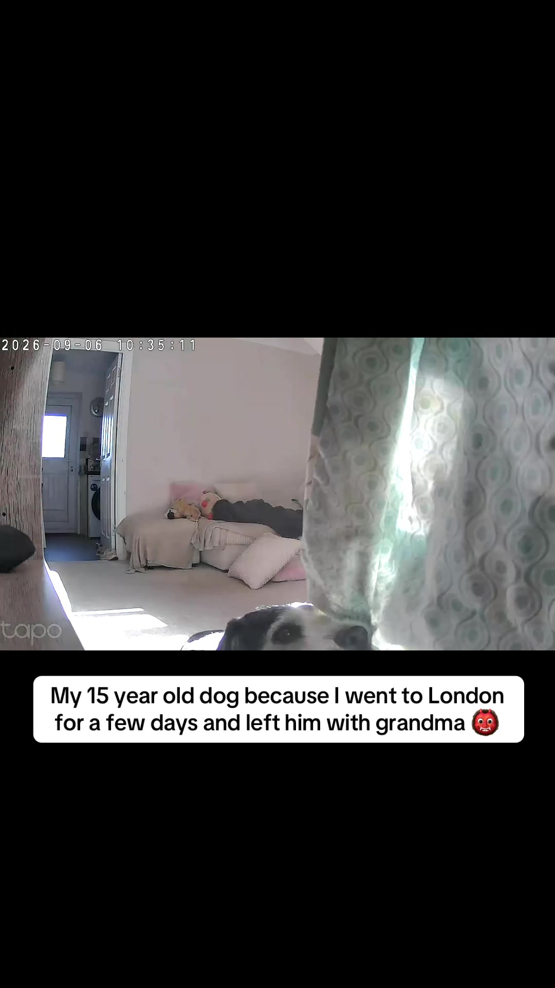 @jodiehenley