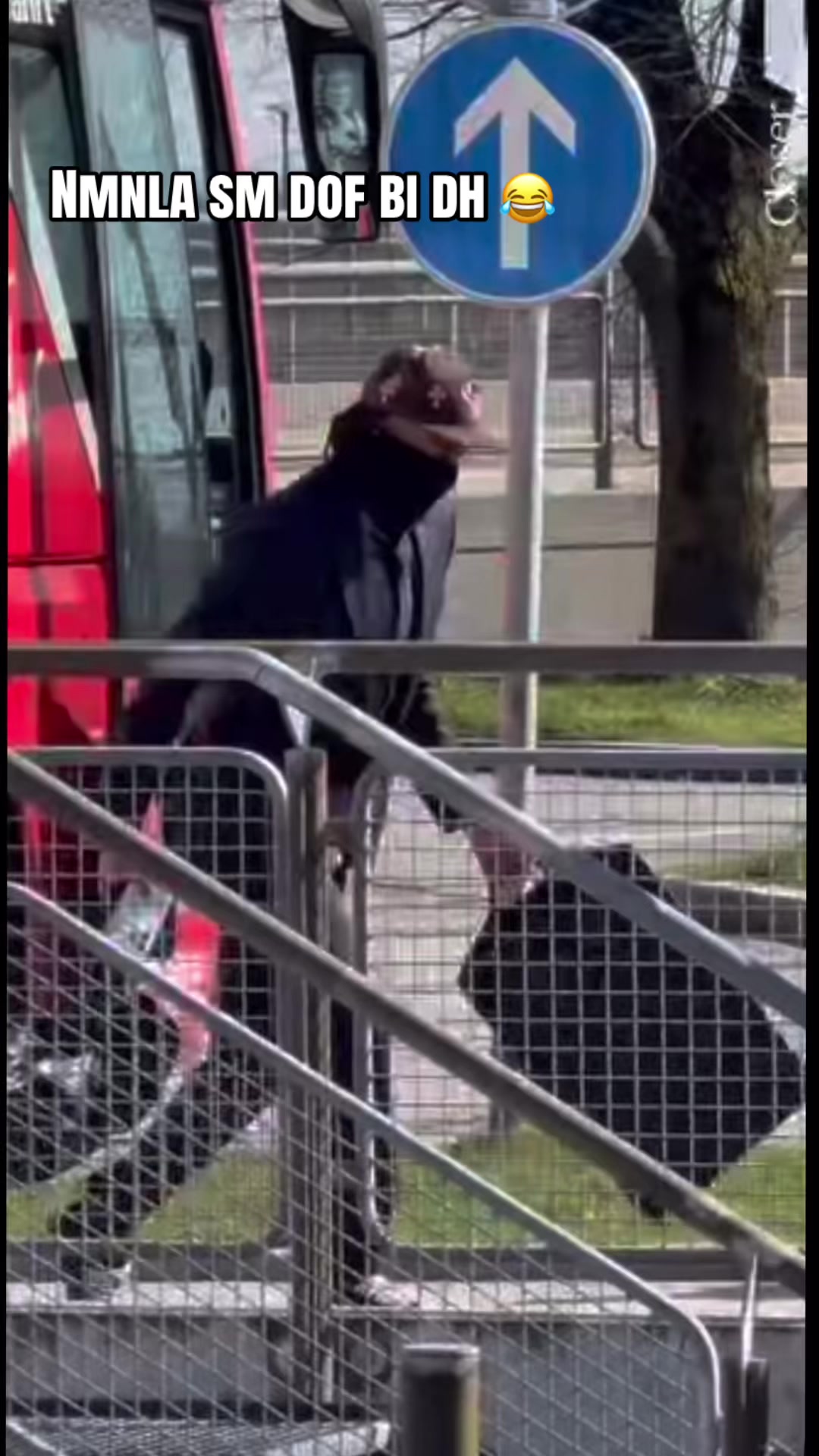 @𝐀𝐁𝐃𝐎𝐔-𝐎𝐋𝐈𝐒𝐄↣🇫🇷