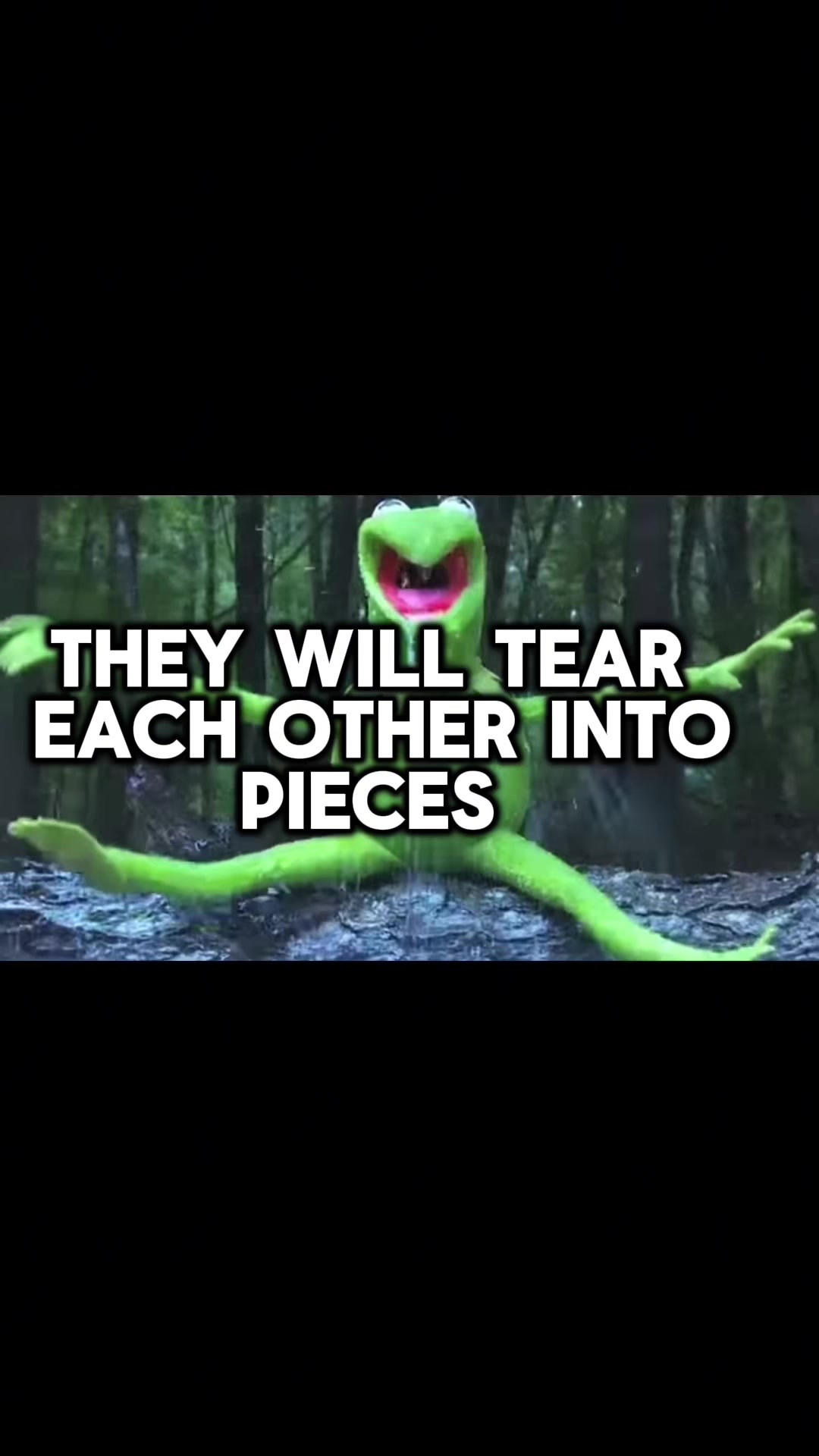 @WOmanlymuppet