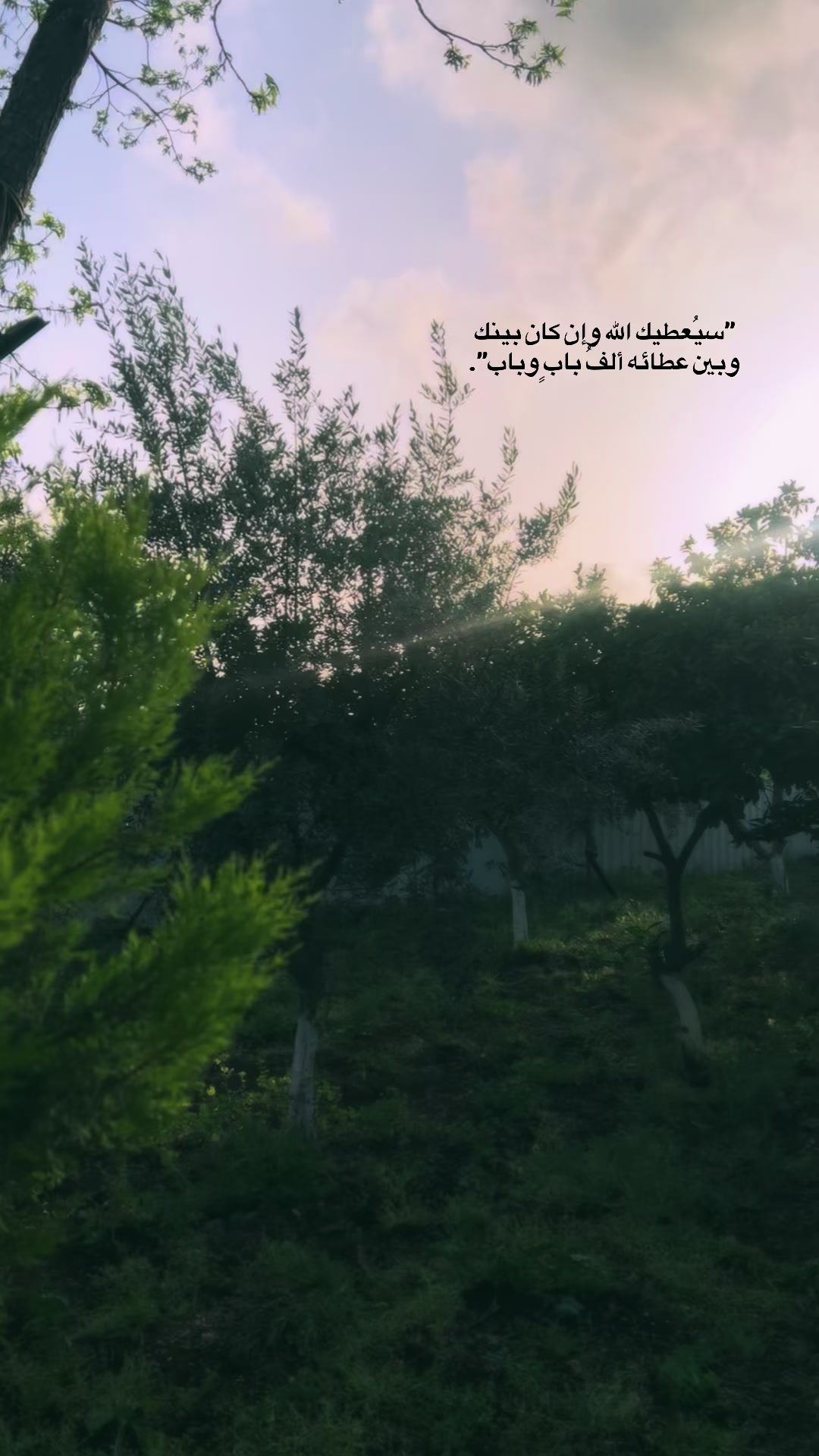 @﮼حلا 🎀