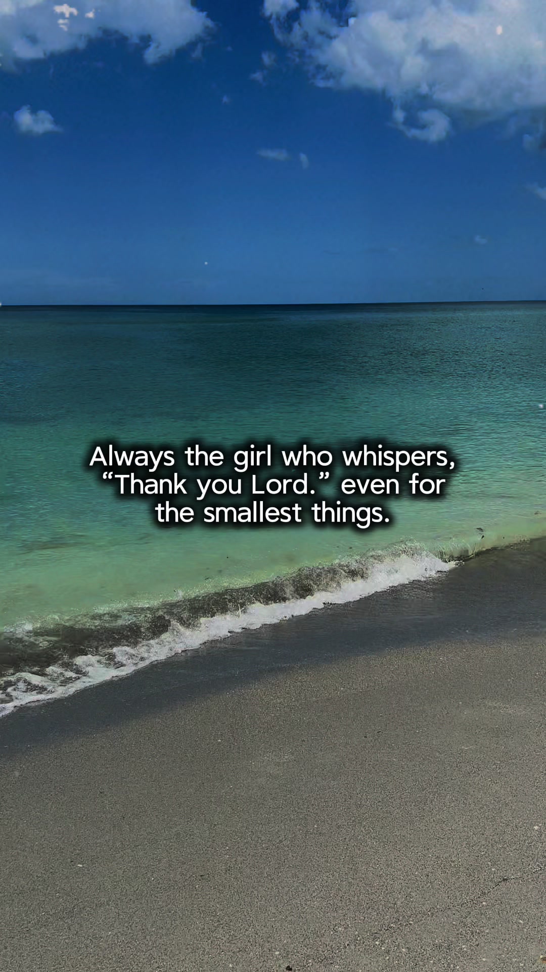 @Sarasota Local Guide 🌊🏝️
