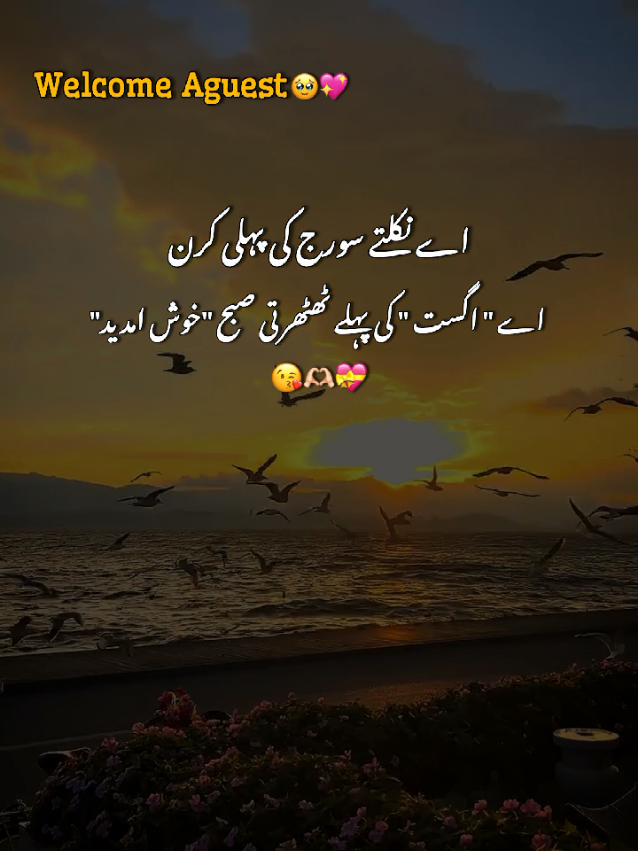 @Arooj 🦋🌼