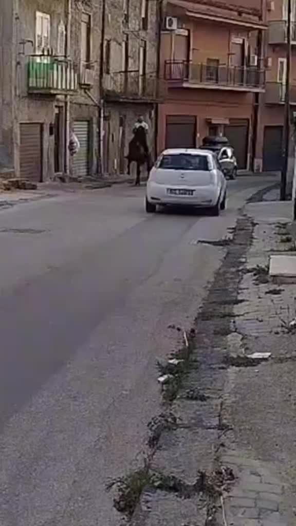 @marian Lungu