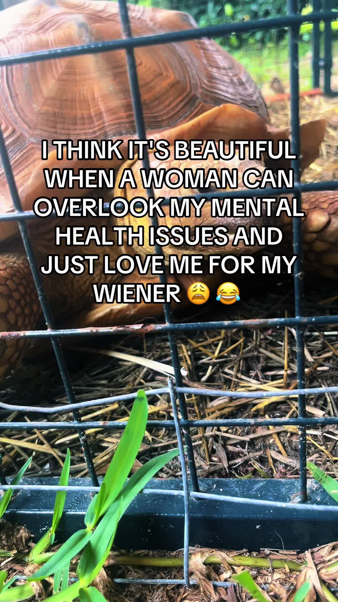@DailyFuggery
