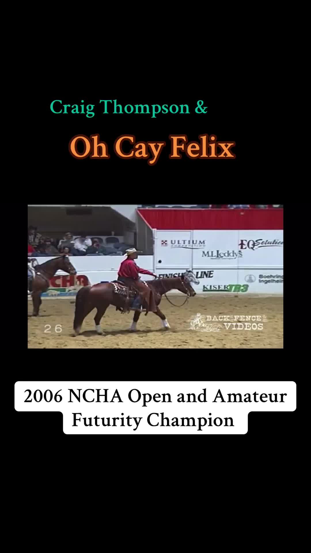 @cuttinghorsess
