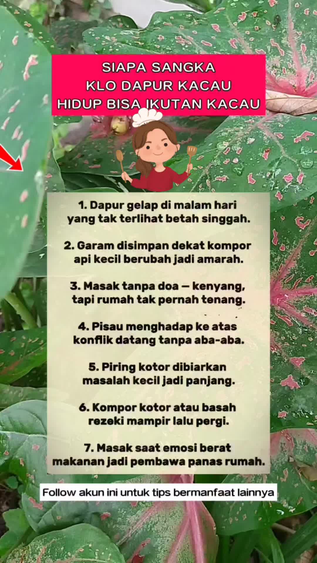 @Ghoniyah