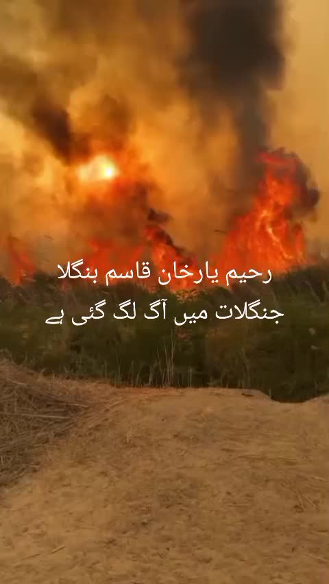 @Muhammad Qadeer