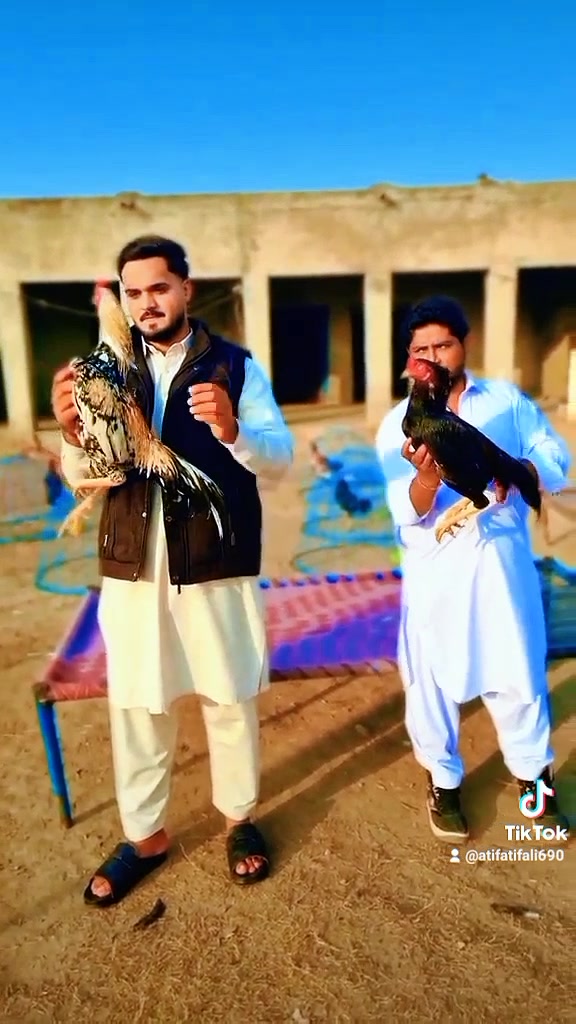 @AtifAli786