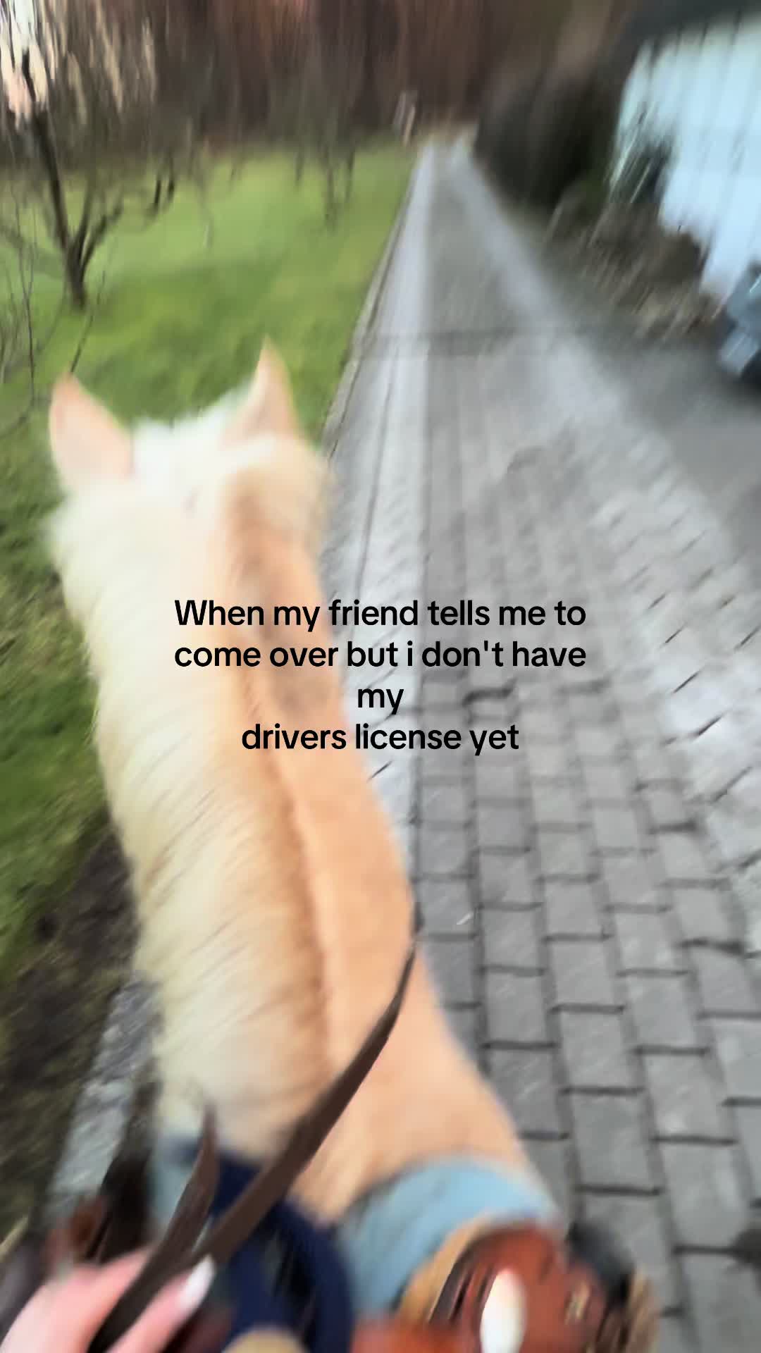 @Ayleen&Peppa