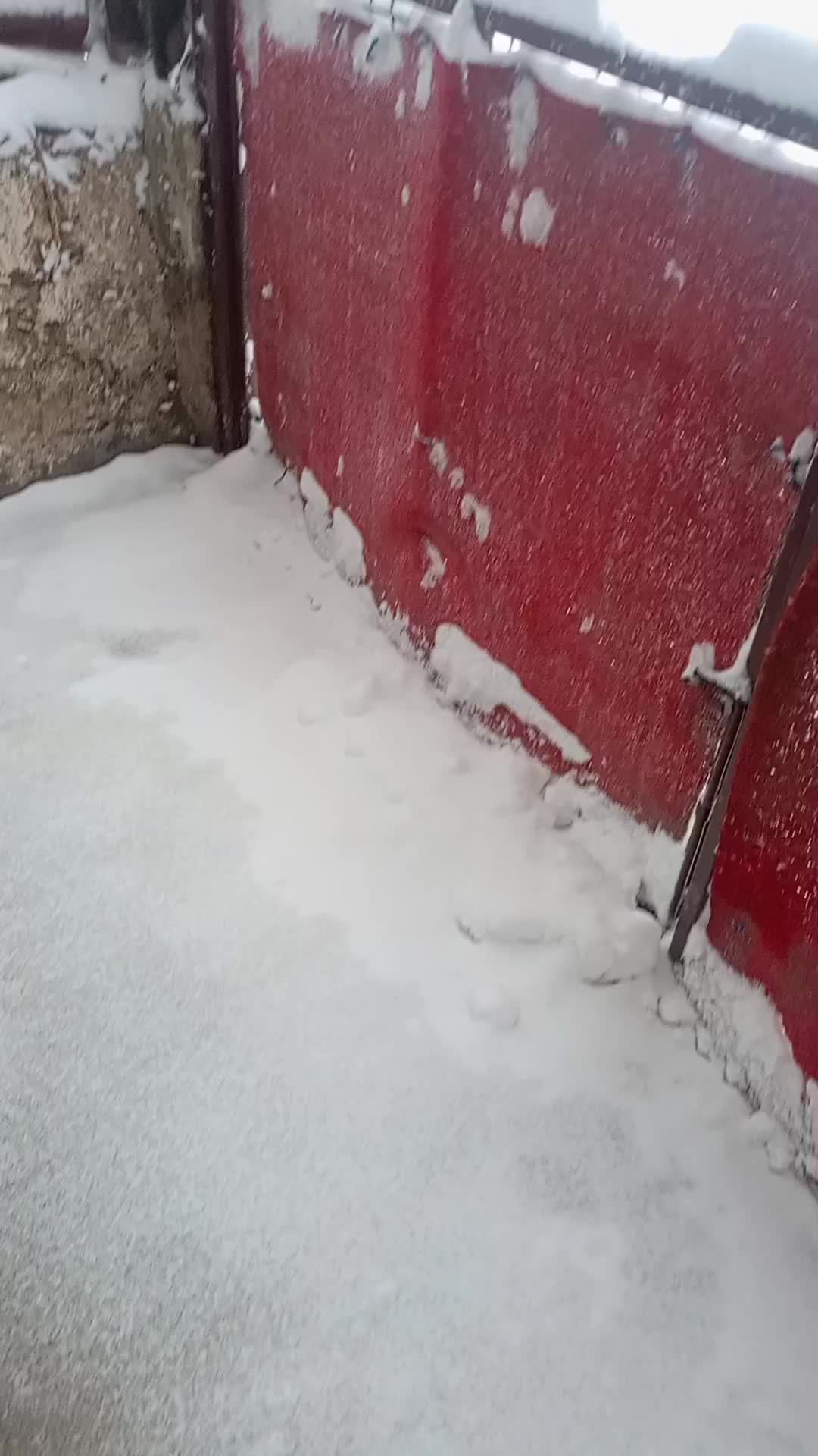 @Engin Özer