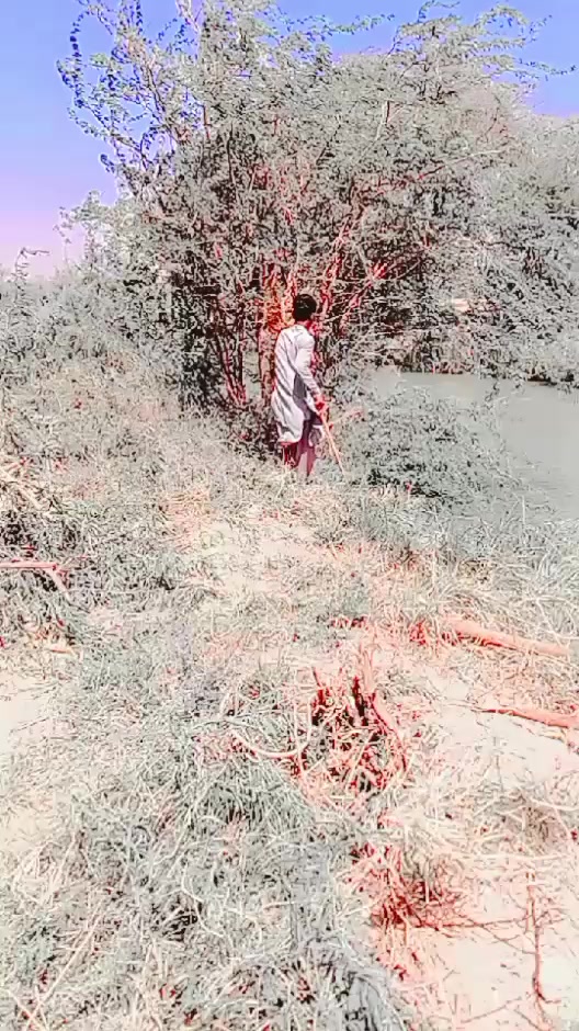 @Mujeeb Khoso