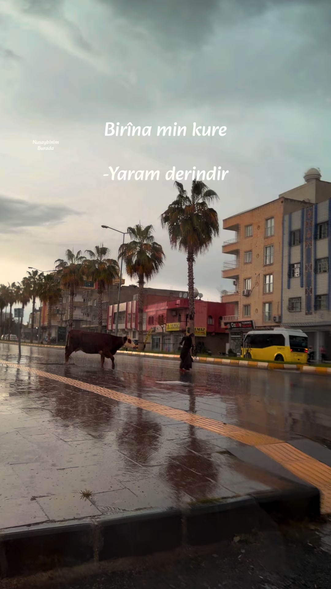 @Nusaybin Burada 📍