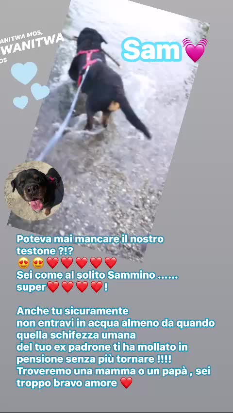 @Sara.Emy.Daisy