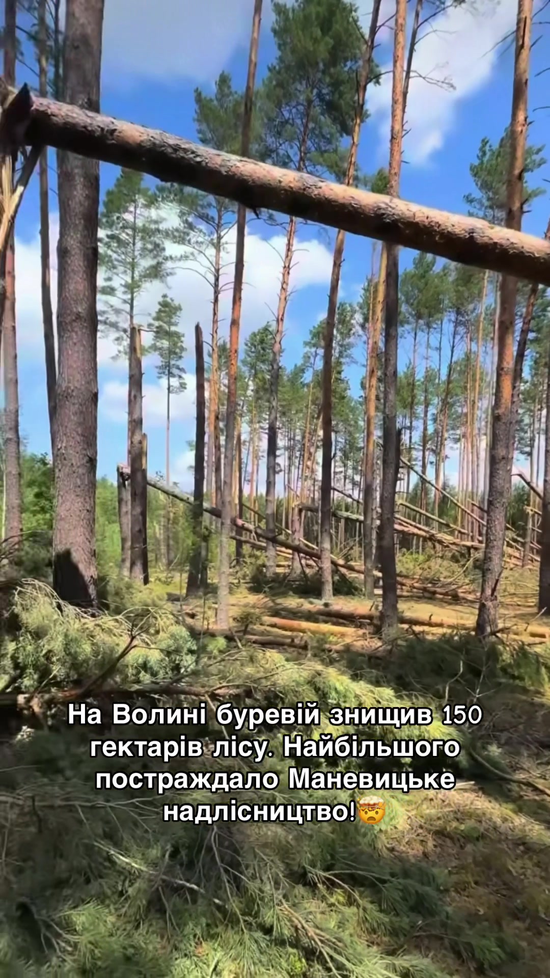 @Volynblog | Луцьк | Ковель
