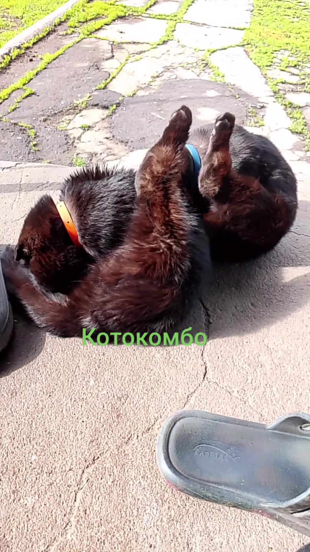 @Юля Христенко Миронець