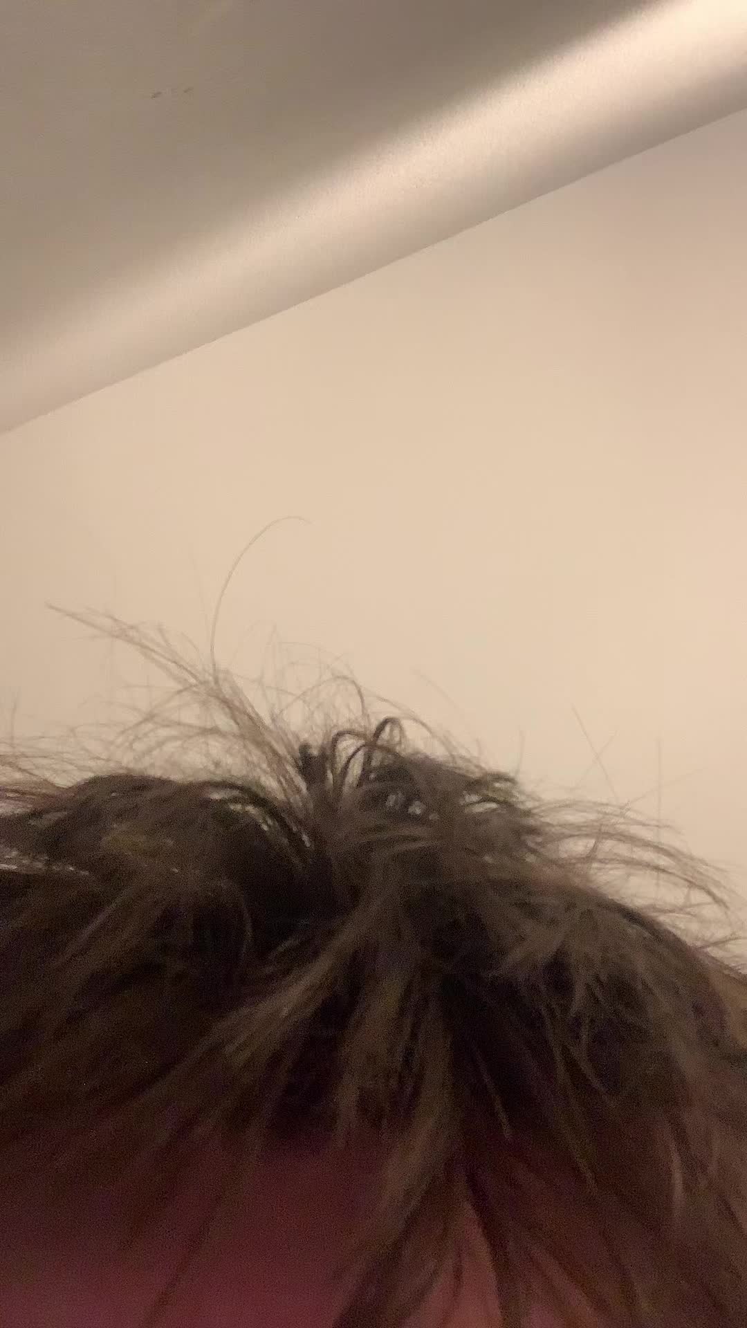 @zuh