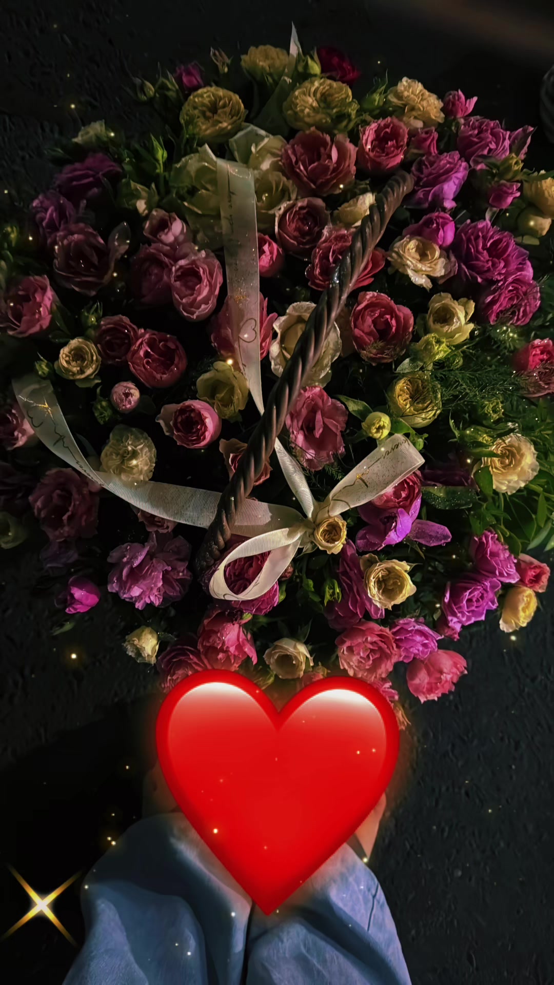 @👑🩶Aisha🩶👑