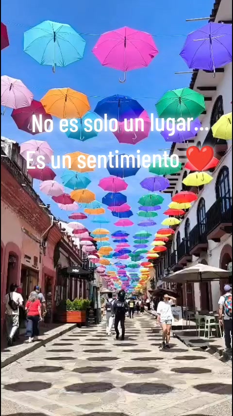 @Sara Isabel Solano