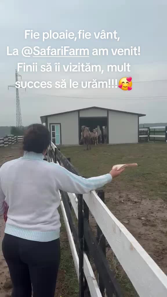 @Ionelya🥰
