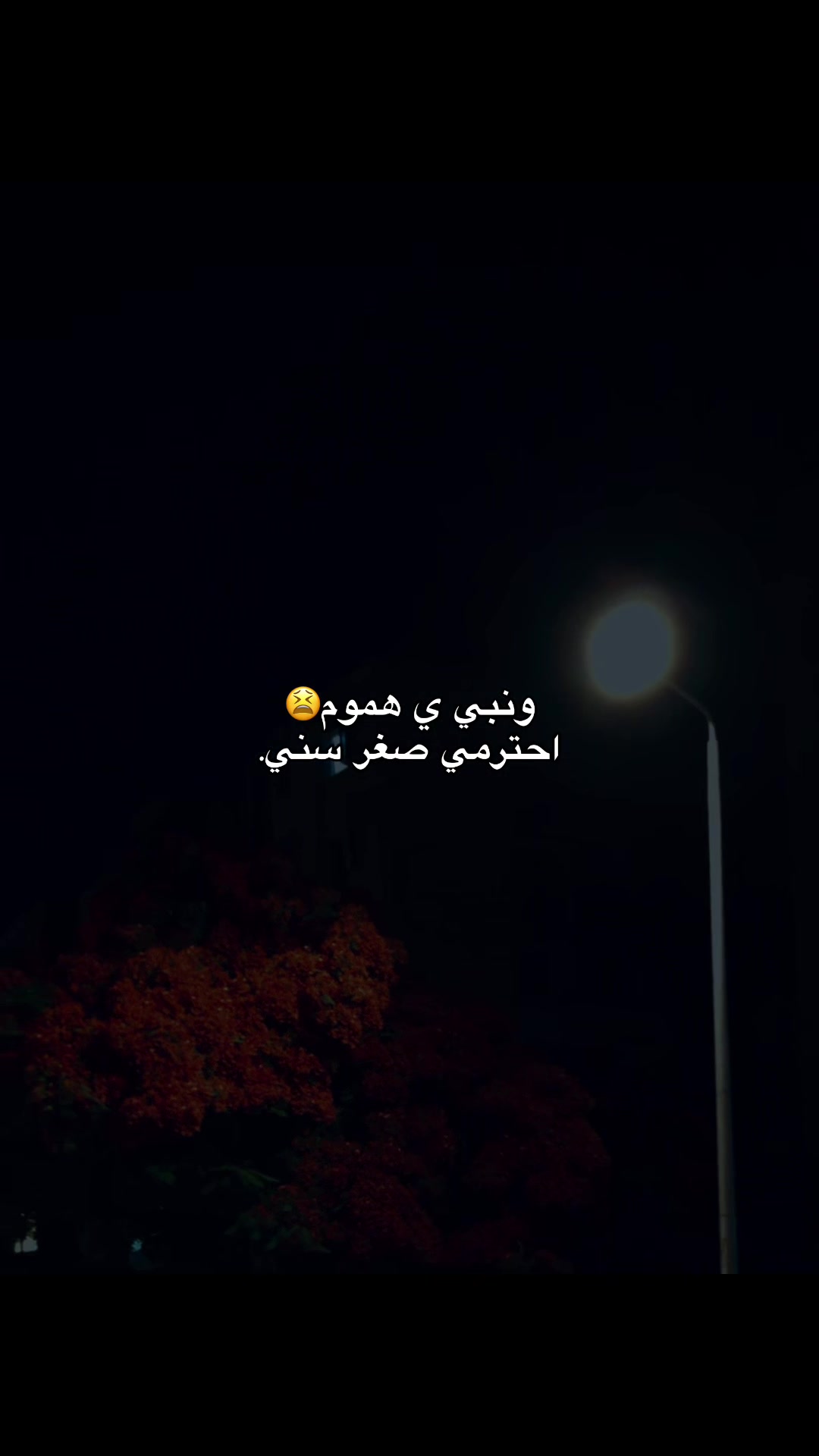 @﮼قـلـب﮼خــارج﮼الـتـغـطـيـه📵