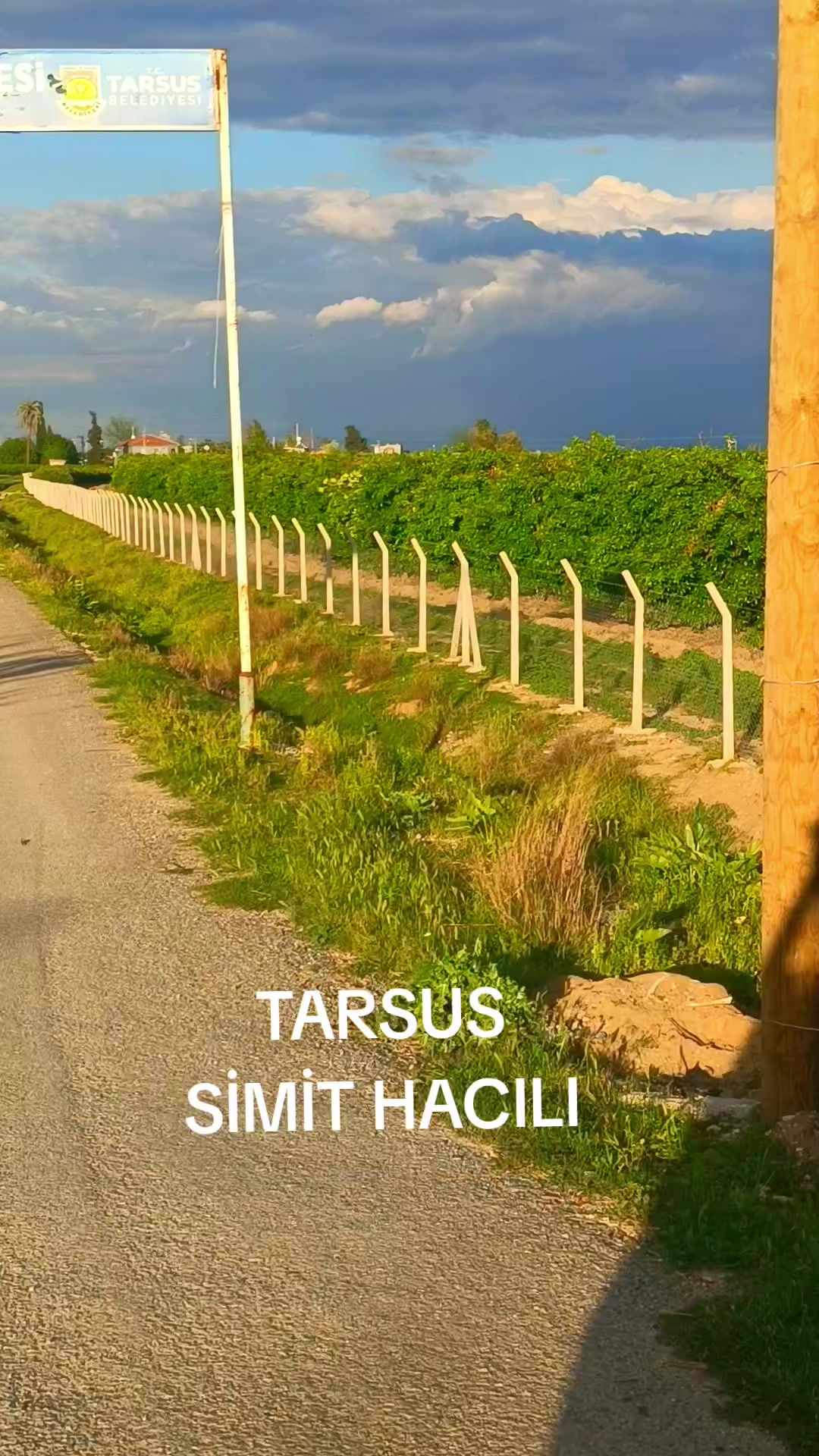 @sedat eregli 33 13