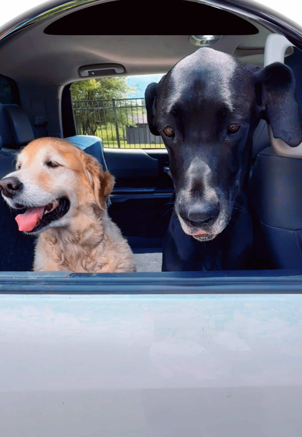 @Heather (Grace 🐾 & Finn🐾)