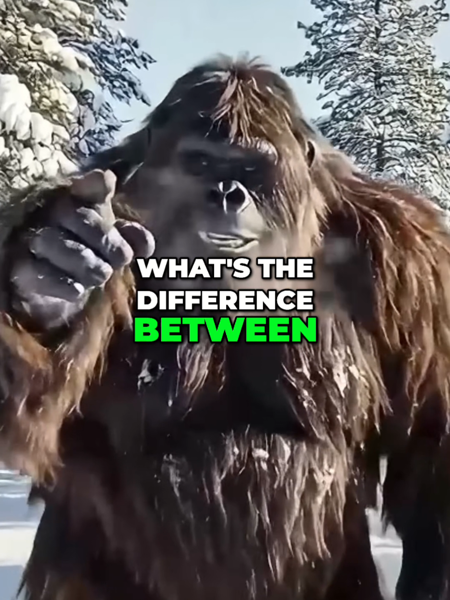 @Bigfoot Daily Vibes