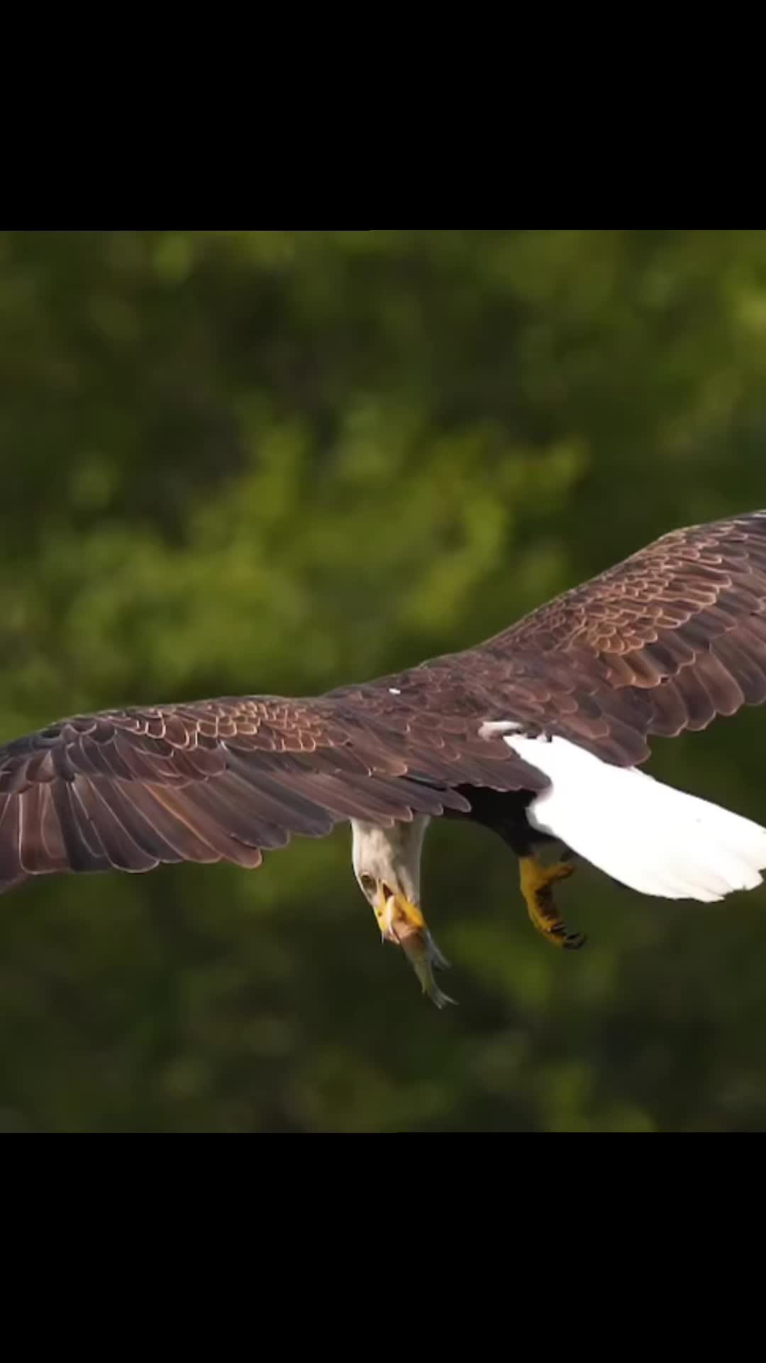 @🦅ZA_KO🦅