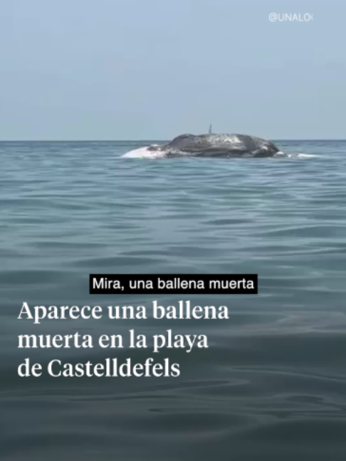 @La Vanguardia 🗞