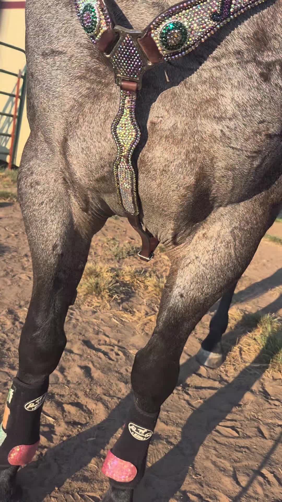 @pussnboots4555