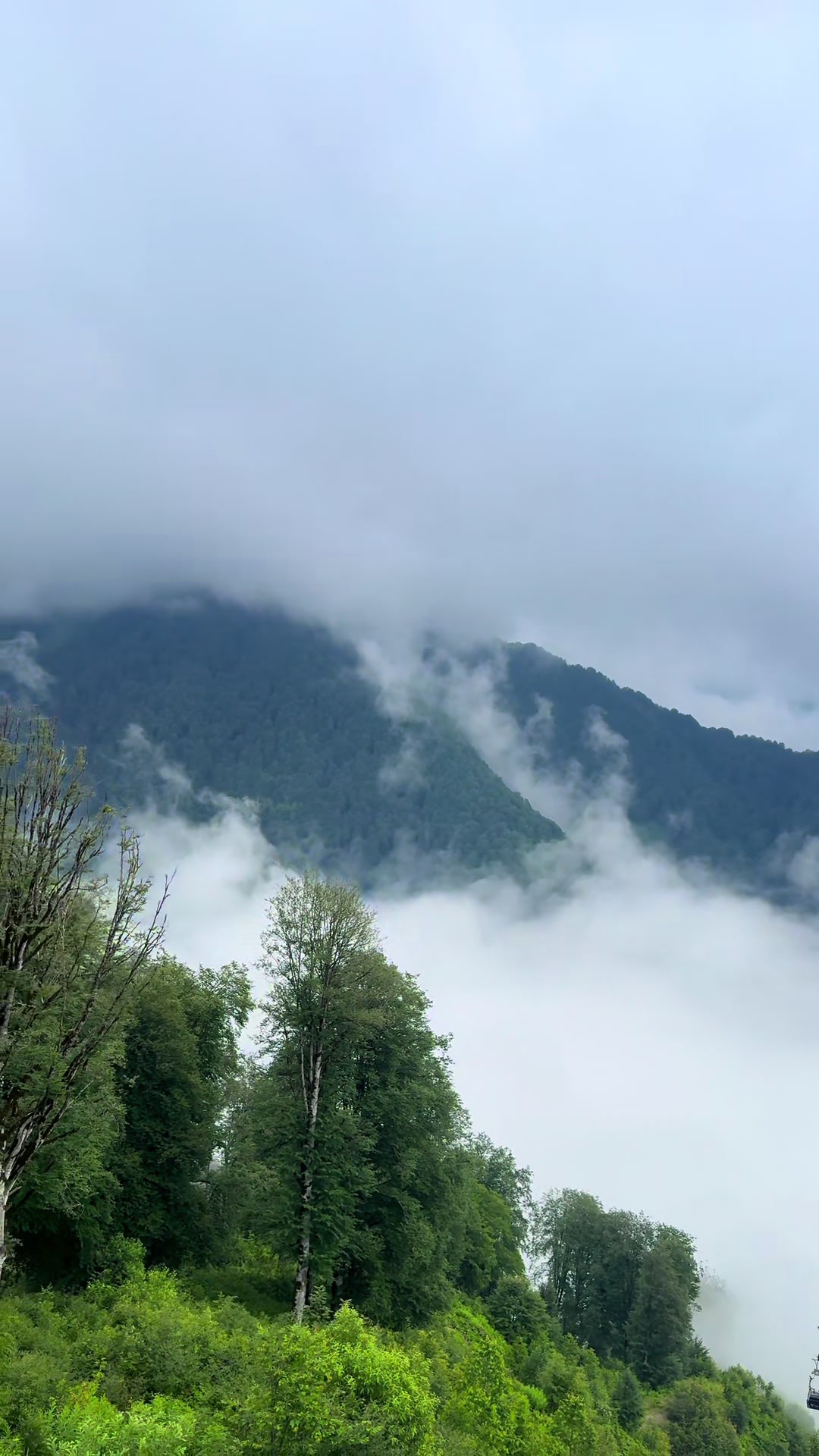 @𝑺.🇦🇿