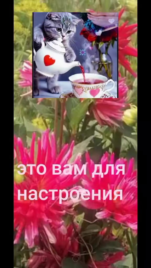 @♒ Aquarius ♒