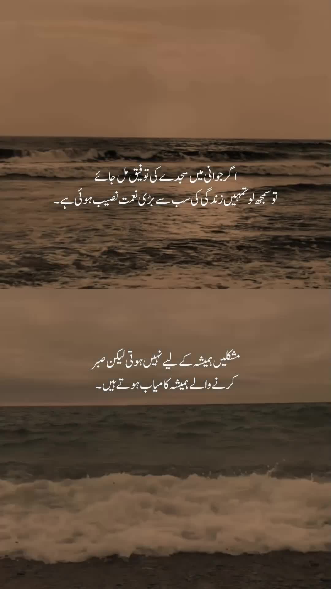 @𝐓ʜᴇ 𝐌ᴏᴏɴ🖤