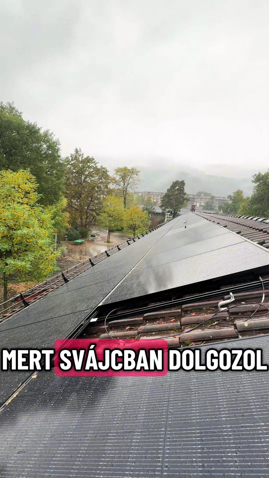 @Botika63🇨🇭