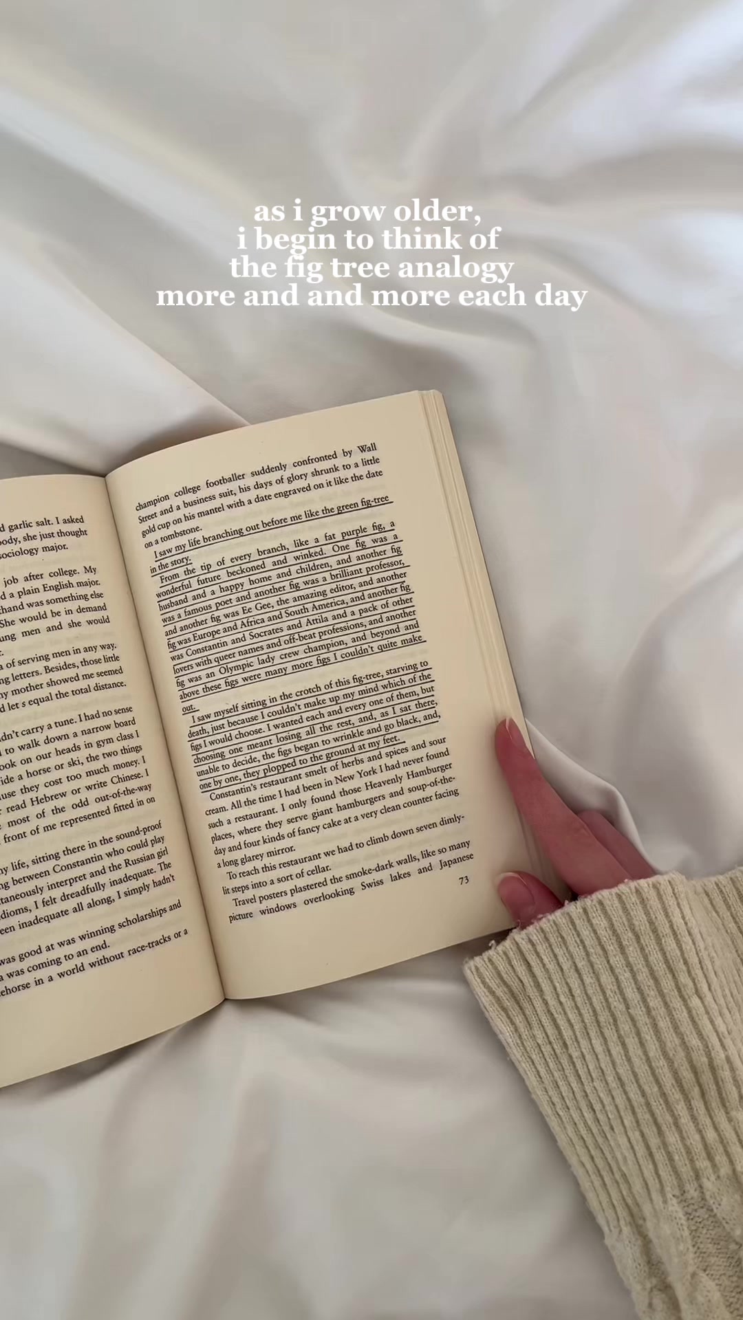@lily | booktok