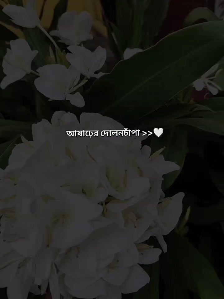 @Eᴀʀʟʏ Bɪʀᴅ_🐣