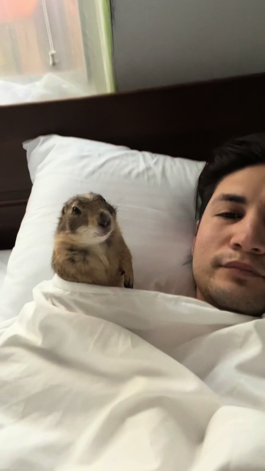 @Poppy the Prairie Dog