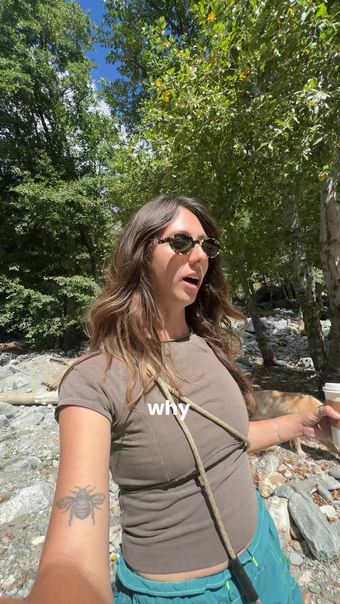 @The Everyday Trainer