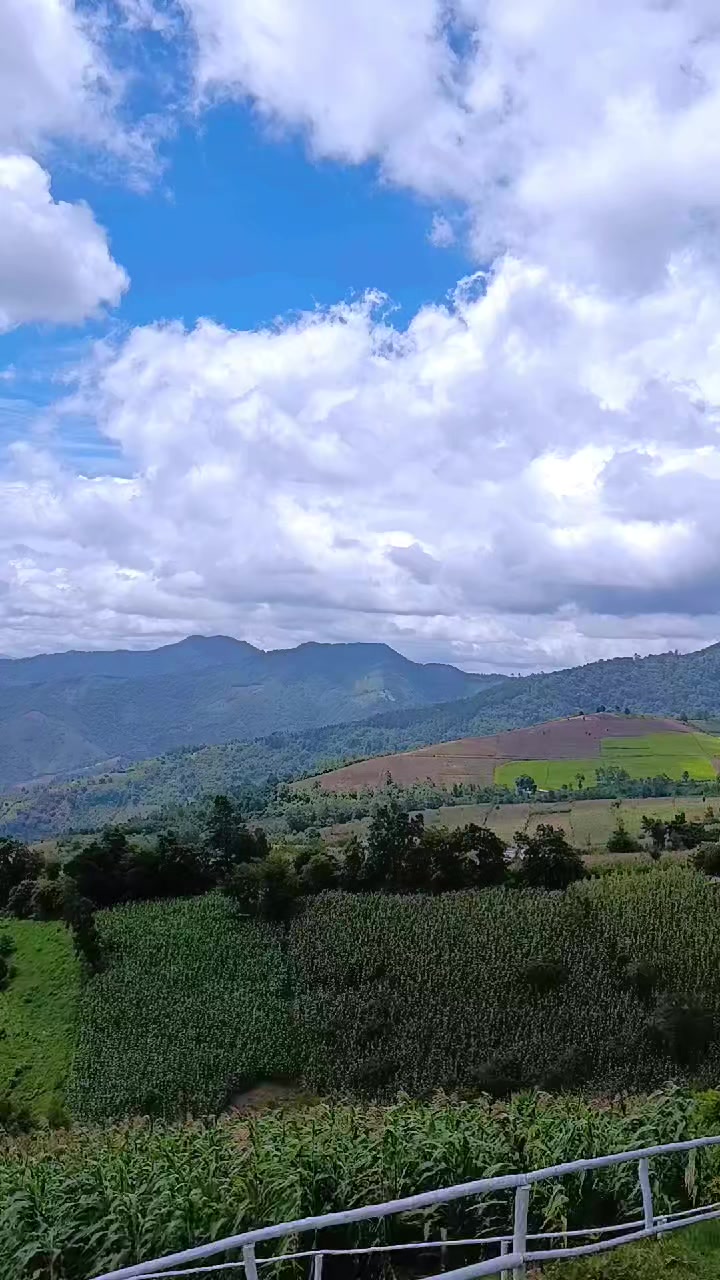 @F&Eacute;NIX🇬🇹🔱🏍️🥷🇬🇹